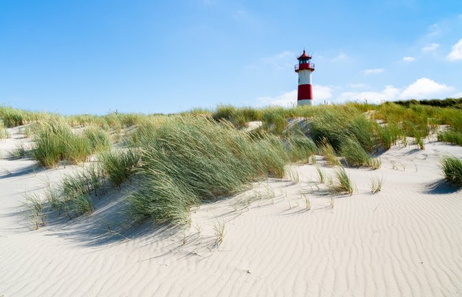 Nach Sylt mit dem Zug.<span class='image-autor'>Foto: Ryszard Filipowicz / shutterstock.com</span>
