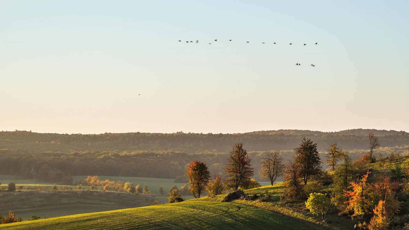 Am ersten September beginnt bereits der meteorologische Herbst.Foto: IMAGO/Panthermedia/Fretschi via imago-images.de Am ersten September beginnt bereits der meteorologische Herbst.Foto: IMAGO/Panthermedia/Fretschi via imago-images.de