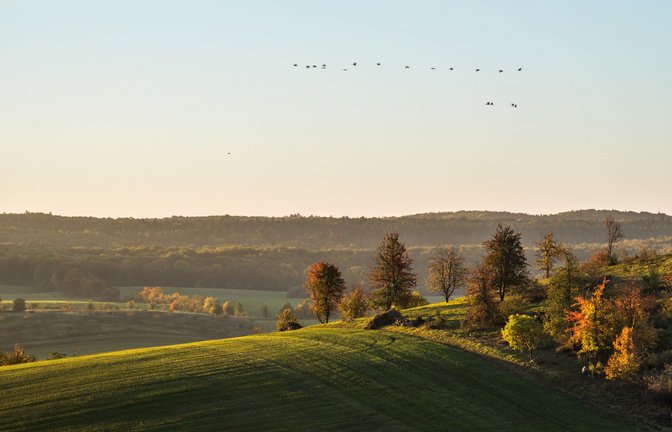 Am ersten September beginnt bereits der meteorologische Herbst.<span class='image-autor'>Foto: IMAGO/Panthermedia/Fretschi via imago-images.de</span>