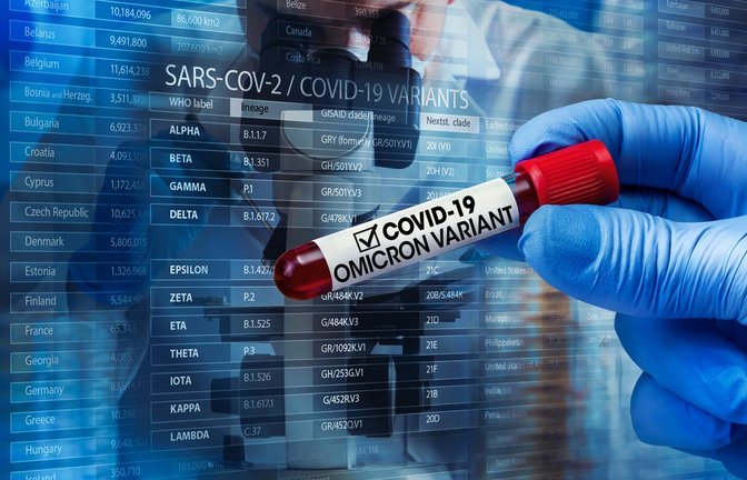 Foto: angellodeco / shutterstock.com