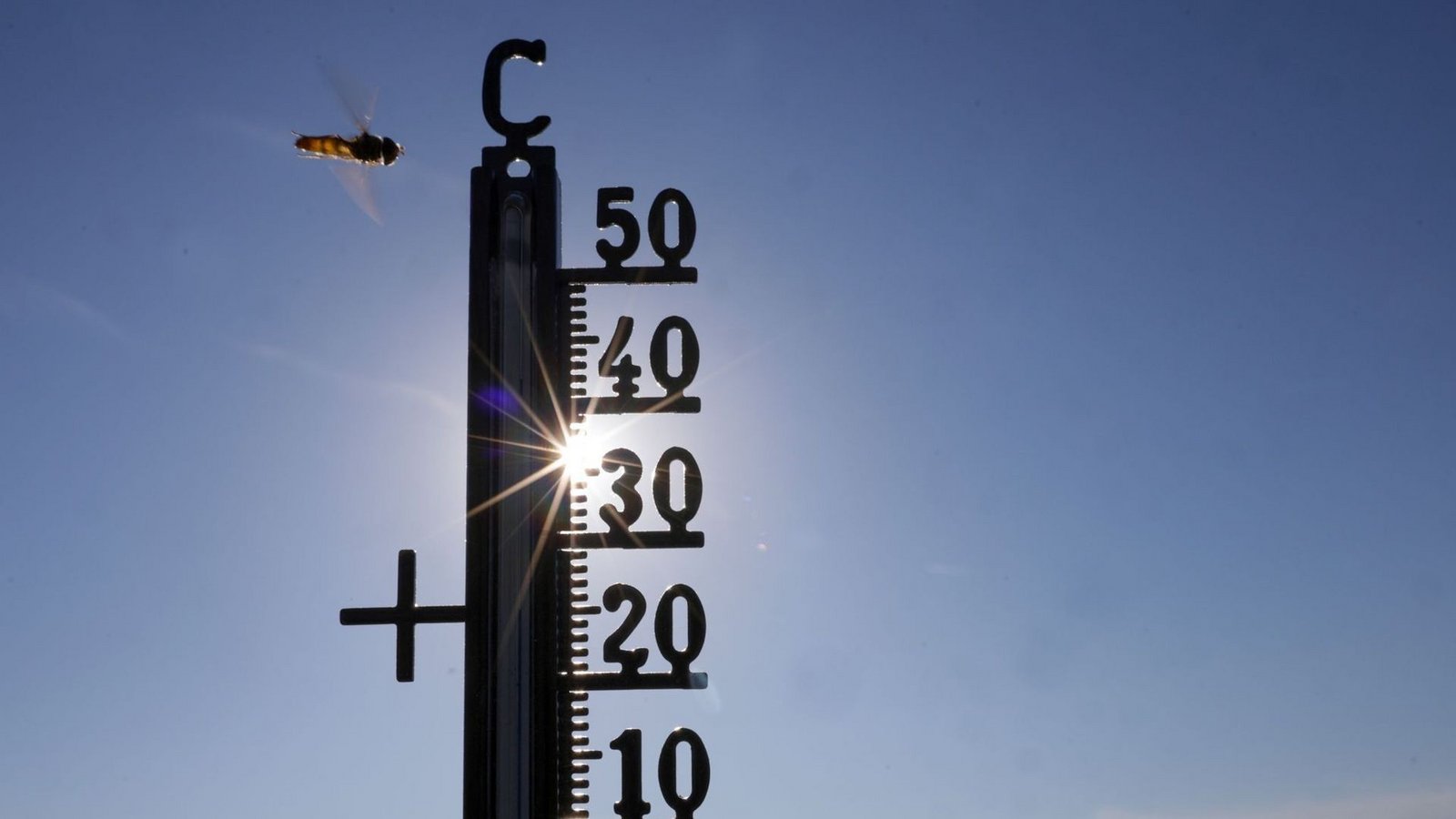 Die Temperaturen in Baden-Württemberg nähern sich aktuell vielerorts den 40 Grad.Foto: Thomas Warnack/dpa