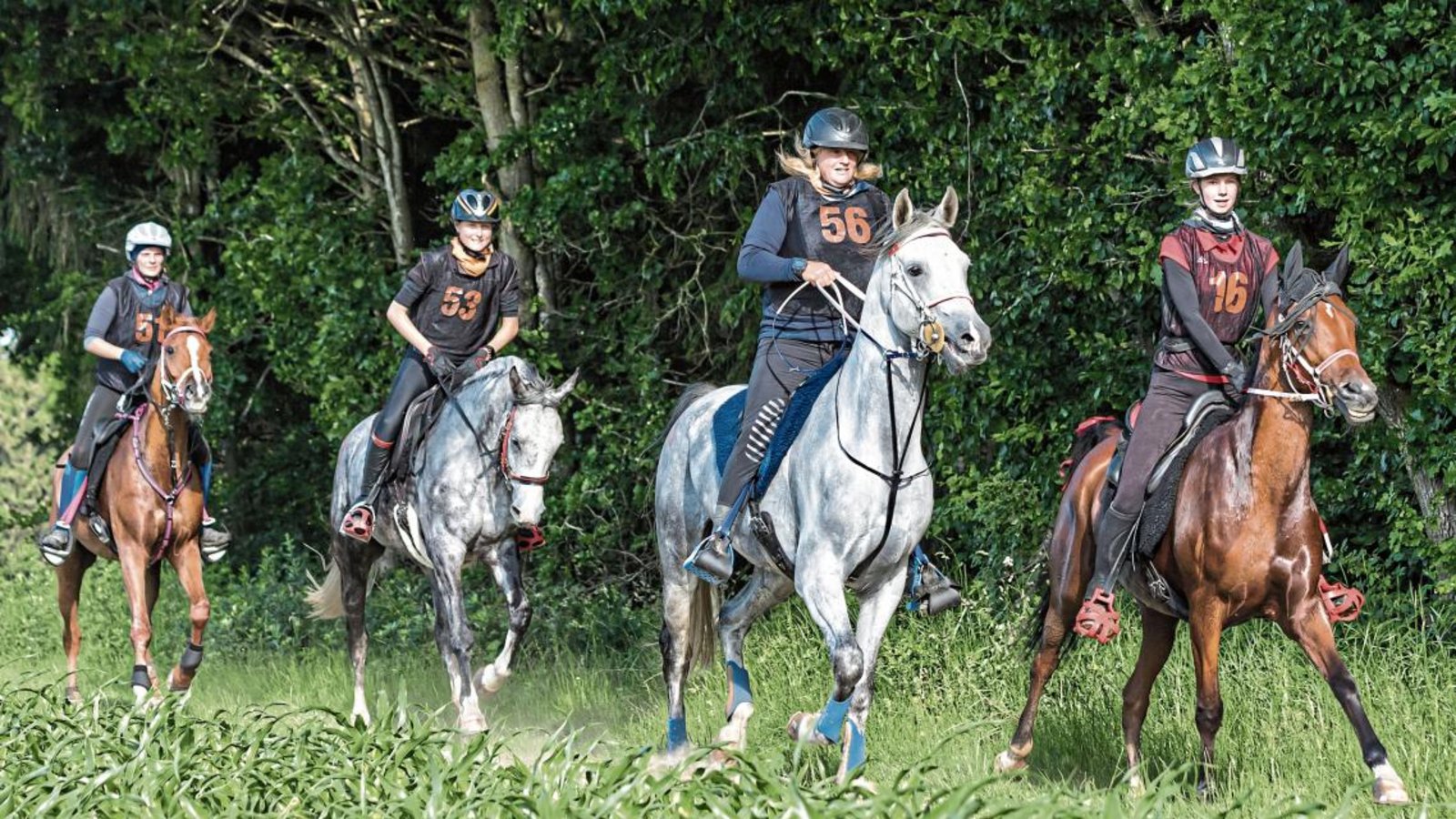 Haben sich beim Endurance-Festival Bavaria als gut funktionierende und harmonierende Vierer-Gruppe zusammengefunden: (von rechts) Finnja Röhm (RC Grundewald) auf Saida Hilal, Julie Schouppe (Belgien) auf Perfect, Clara Haug auf Carhim des Aubepins sowie Gabriela von Felten (Schweiz) auf Mirko du Cavallon Foto: Jan Kirschnick/Horse & Endurance Photography Haben sich beim Endurance-Festival Bavaria als gut funktionierende und harmonierende Vierer-Gruppe zusammengefunden: (von rechts) Finnja Röhm (RC Grundewald) auf Saida Hilal, Julie Schouppe (Belgien) auf Perfect, Clara Haug auf Carhim des Aubepins sowie Gabriela von Felten (Schweiz) auf Mirko du Cavallon Foto: Jan Kirschnick/Horse & Endurance Photography