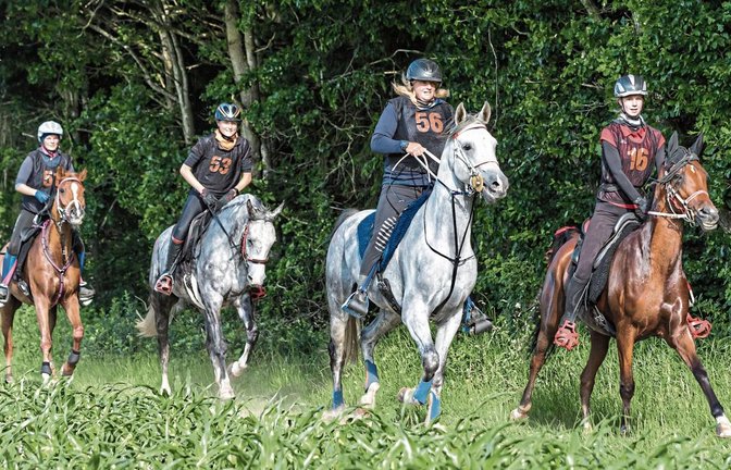 Haben sich beim Endurance-Festival Bavaria als gut funktionierende und harmonierende Vierer-Gruppe zusammengefunden: (von rechts) Finnja Röhm (RC Grundewald) auf Saida Hilal, Julie Schouppe (Belgien) auf Perfect, Clara Haug auf Carhim des Aubepins sowie Gabriela von Felten (Schweiz) auf Mirko du Cavallon  Foto: Jan Kirschnick/Horse & Endurance Photography