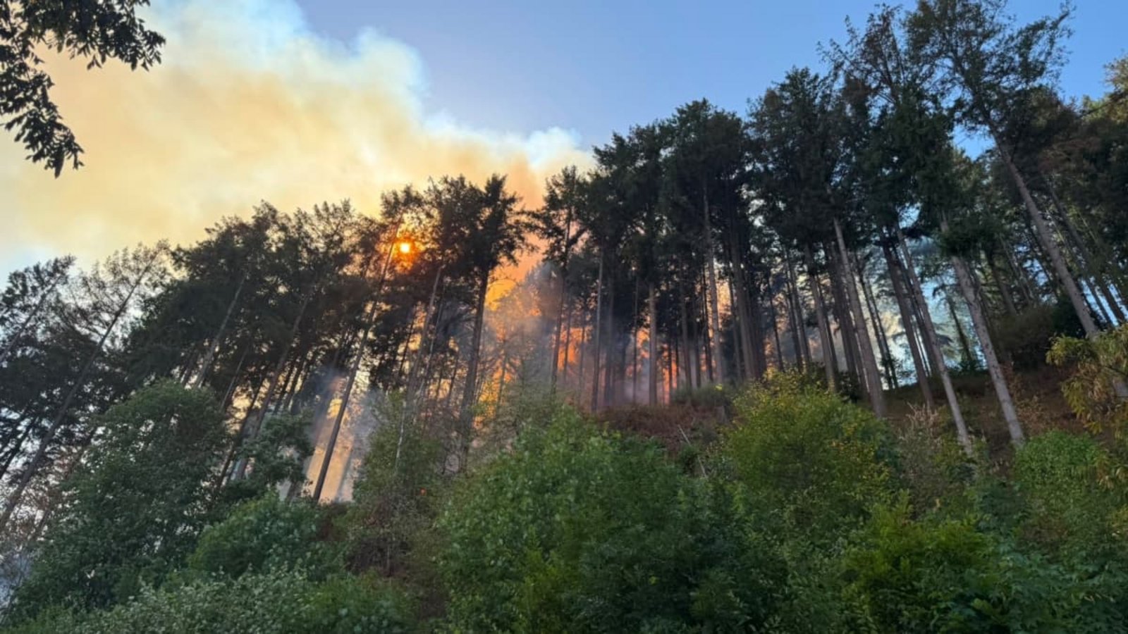 In Steinach brannten rund 25.000 Quadratmeter Wald.Landratsamt In Steinach brannten rund 25.000 Quadratmeter Wald.Landratsamt