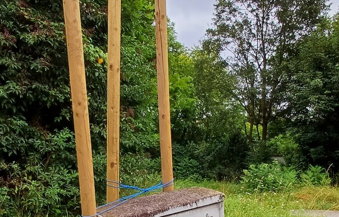 Kunst oder einfach nur ein anlehnungsbedürftiger Verteilerkasten?  <span class='image-autor'>Foto: Rücker</span>