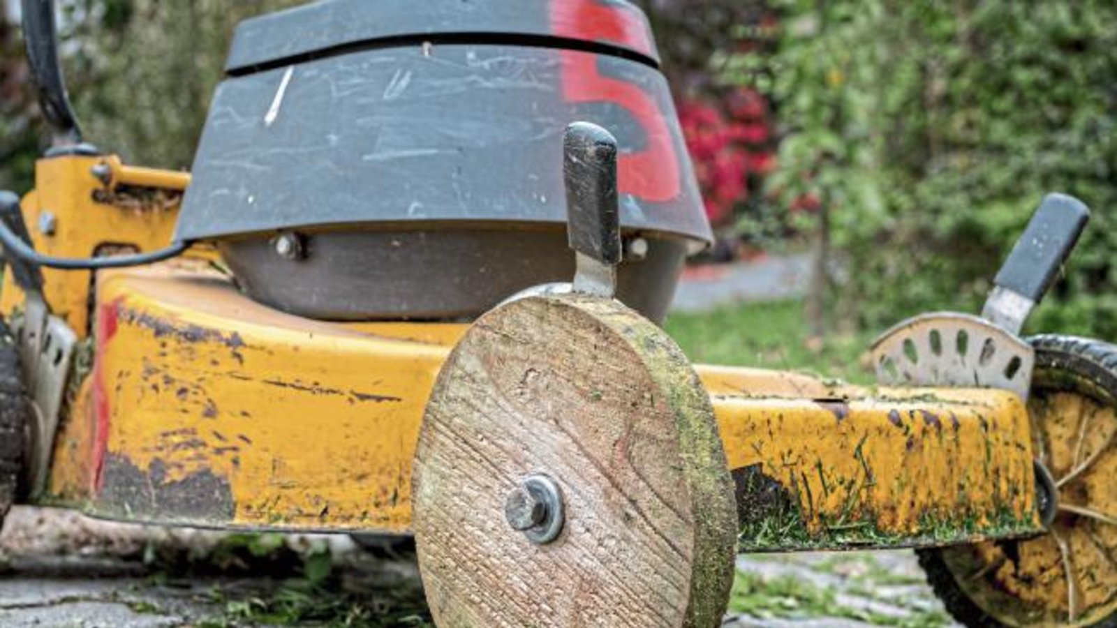 Bei echten Schwaben sei etwas erst „hee“, wenn gar nichts mehr gehe, kommentiert unser Leser Berthold Mede sein Foto aus Nachbars Garten. Bei echten Schwaben sei etwas erst „hee“, wenn gar nichts mehr gehe, kommentiert unser Leser Berthold Mede sein Foto aus Nachbars Garten.
