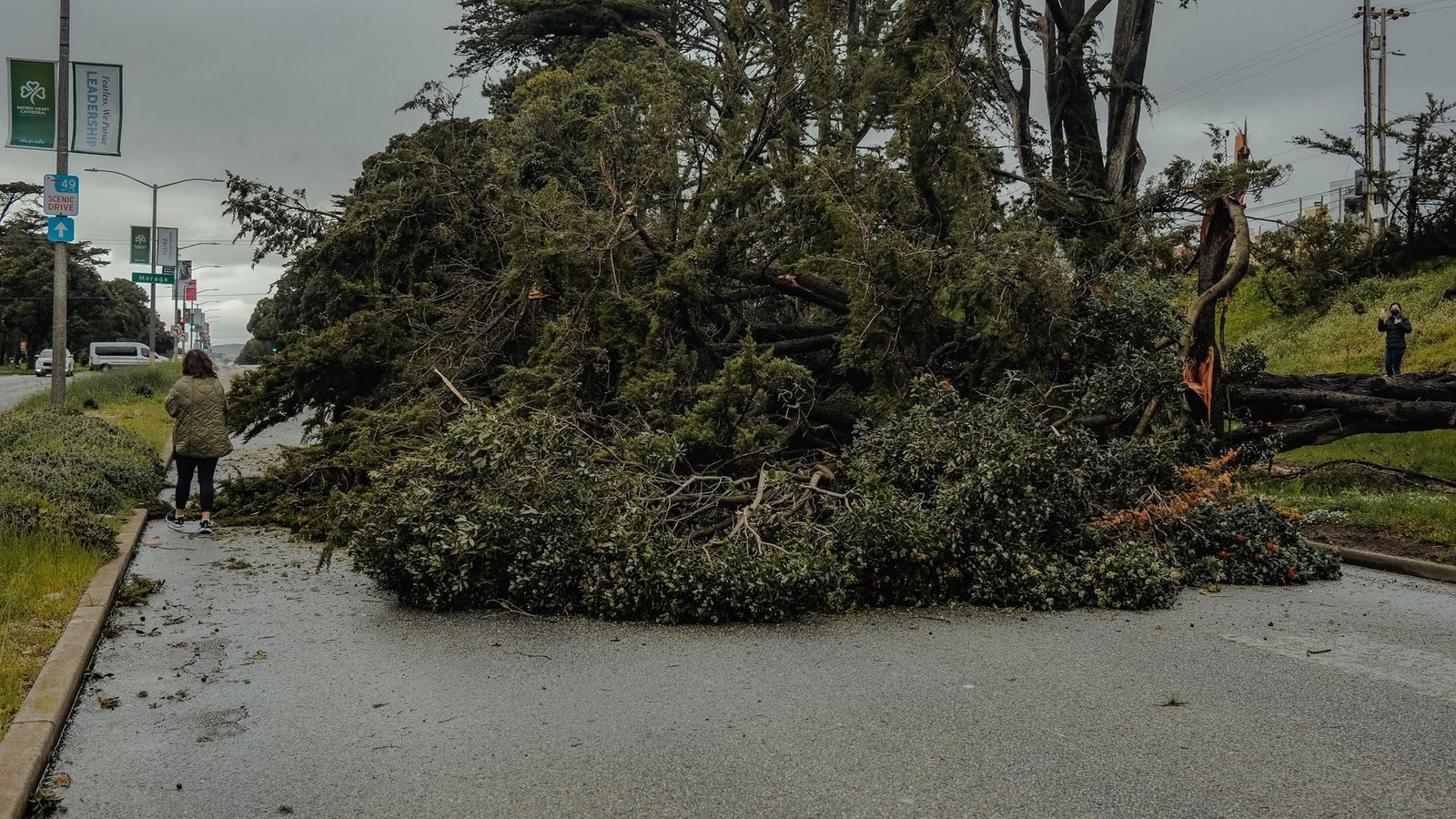In San Francisco sind laut Behörden über 700 Bäume umgestürzt oder beschädigt worden.Foto: Chin Hei Leung/SOPA Images via ZUMA Press Wire/dpa