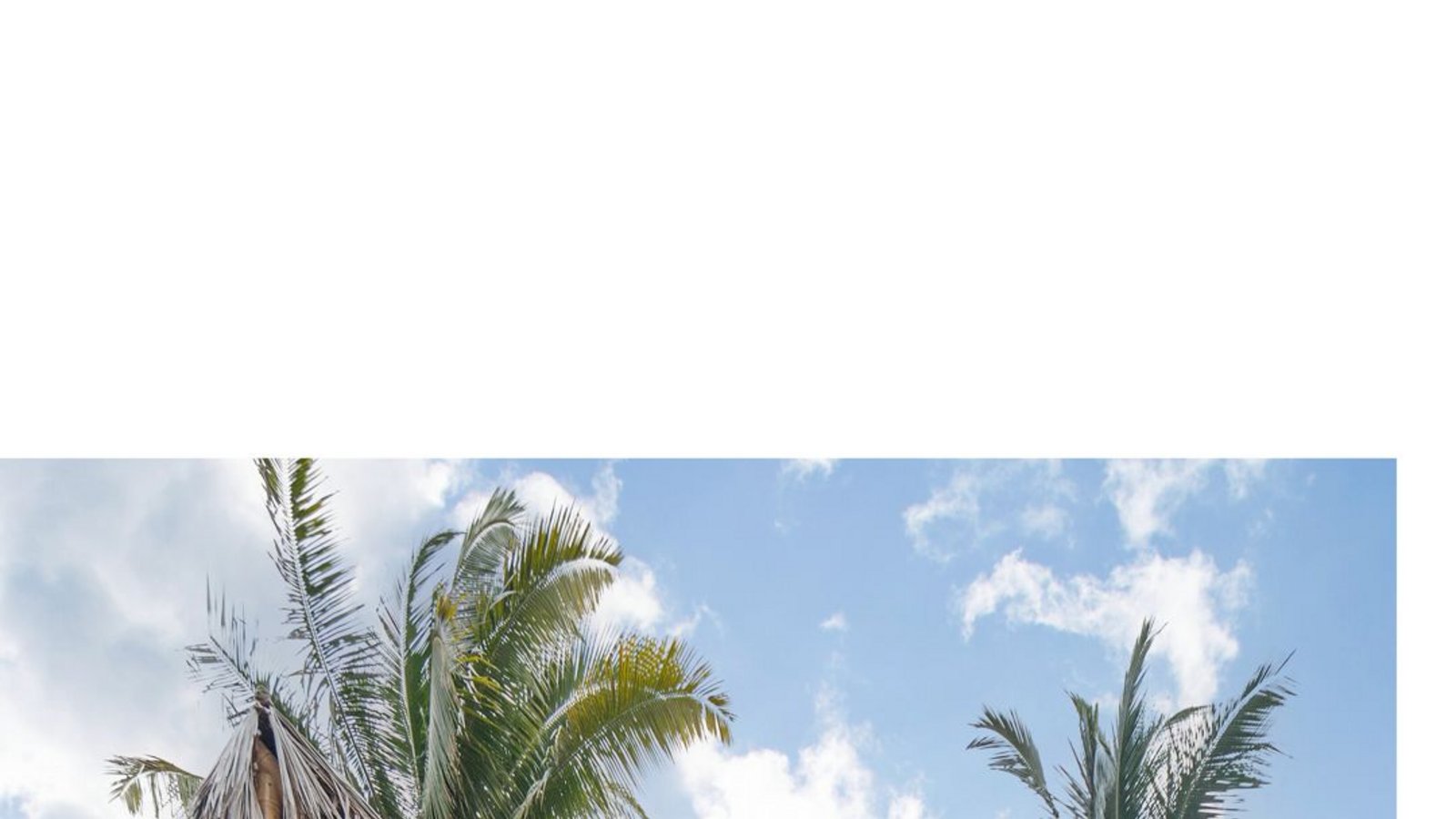 Bambus und Stroh: Rama Estudio, Toquilla Houses, Portete Island, Esmeraldas, Equador, 2021. Im Buch auf Seite 373.Foto: © JAG Studio/Taschen Verlag Bambus und Stroh: Rama Estudio, Toquilla Houses, Portete Island, Esmeraldas, Equador, 2021. Im Buch auf Seite 373.Foto: © JAG Studio/Taschen Verlag