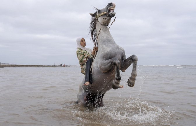 Chantal Pinzi hat eine Marokkanerin fotografiert, die die traditionelle marokkanische Reitkunst Tbourida beherrscht.<span class='image-autor'>Foto: Chantal Pinzi, Panos Pictures</span>