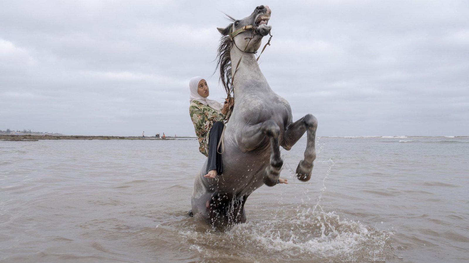 Chantal Pinzi hat eine Marokkanerin fotografiert, die die traditionelle marokkanische Reitkunst Tbourida beherrscht.Foto: Chantal Pinzi, Panos Pictures Chantal Pinzi hat eine Marokkanerin fotografiert, die die traditionelle marokkanische Reitkunst Tbourida beherrscht.Foto: Chantal Pinzi, Panos Pictures