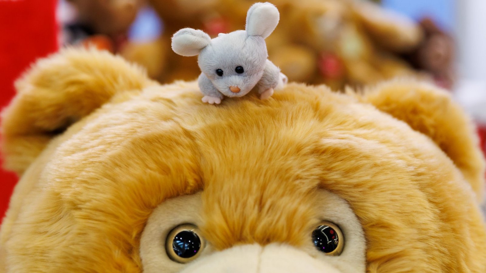 Eine kleine Plüschmaus sitzt auf dem Kopf eines großen Plüschbären auf der  Spielwarenmesse in Nürnberg.Foto: Daniel Karmann/dpa