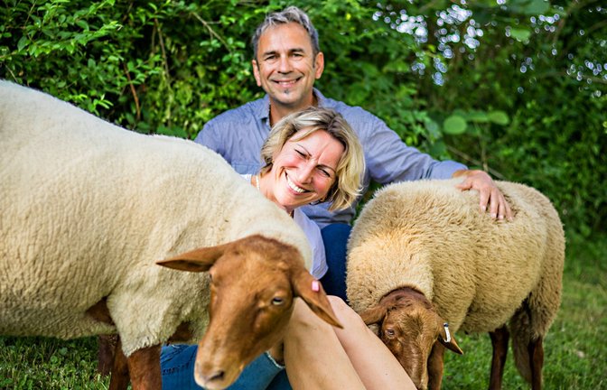 Liebe zu den Coburger-Fuchsschafen: Hardy Buck und Barbara Stotz.<span class='image-autor'>Foto: /Lichterloh Fotografie Ina Keller</span>