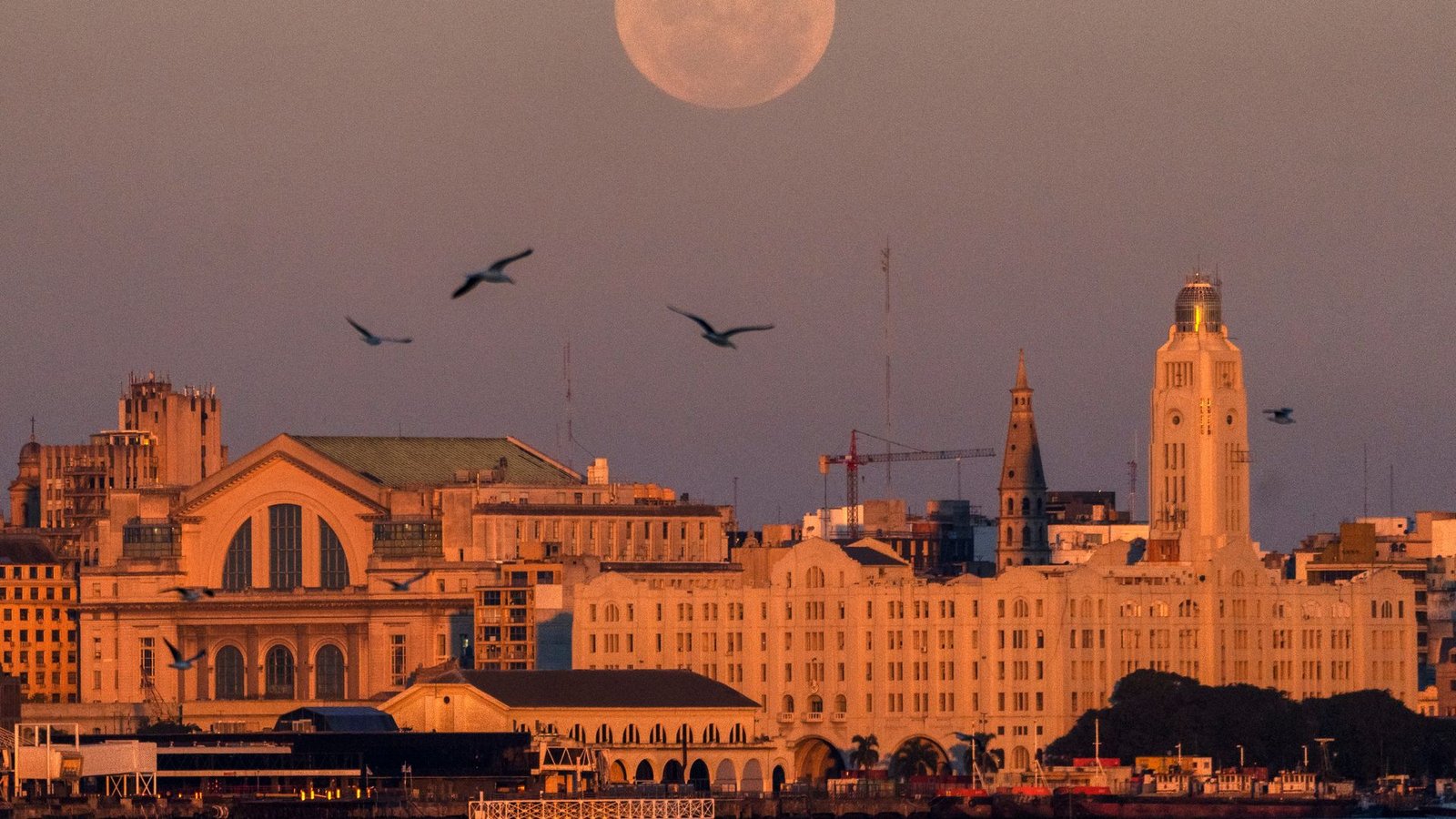 Der Mond geht am über Montevideo, Uruguay, auf.Foto: Matilde Campodonico/AP/dpa