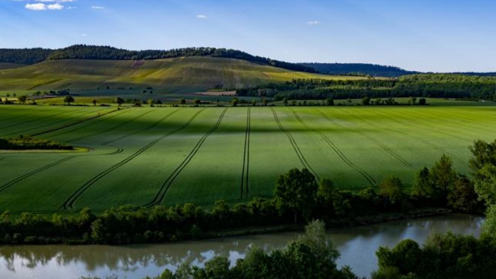 Soll der „Energiepark Alleenfeld“ kommen? Am Samstag informieren Befürworter wie Gegner vor Ort über das Thema.  Archivfoto: Kalb