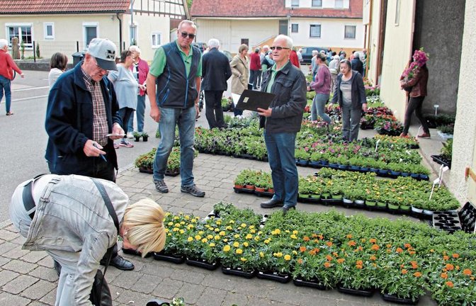 Roland Beck (mit Buch) kümmert sich jedes Jahr um die Pflanzenauswahl in Oberriexingen. Gemeinsam mit Friedrich Bayha zeichnet er für den Blumenmarkt verantwortlich. Fotos: Gergen
