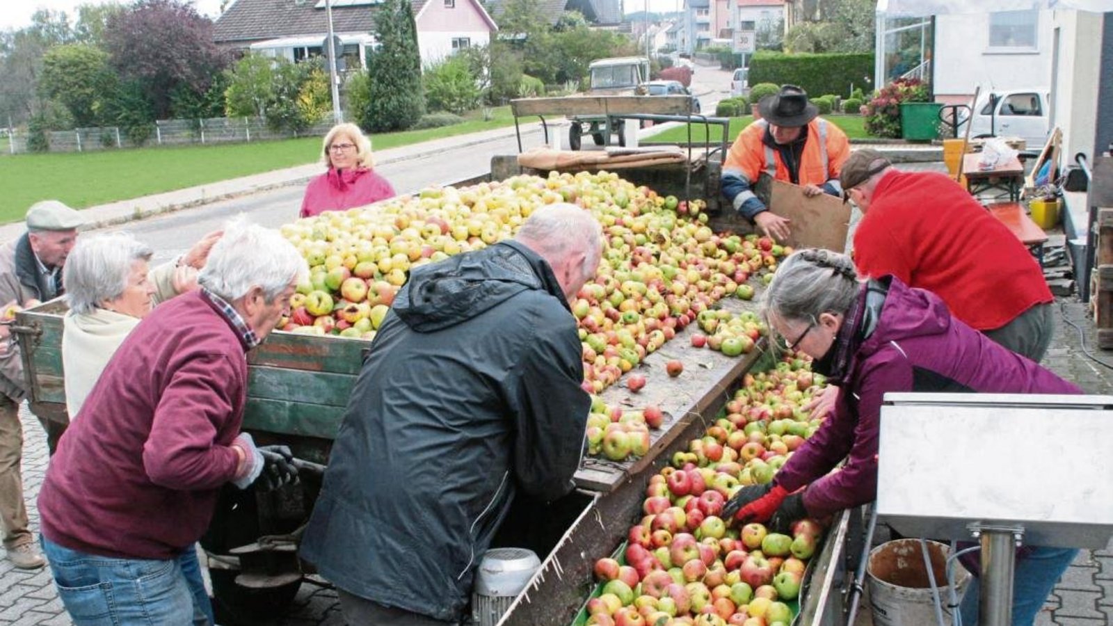 Frische Ware für das Ensinger Streuobstschorle. Am Samstag war Annahmetag in Sersheim. Fotos: Arning Frische Ware für das Ensinger Streuobstschorle. Am Samstag war Annahmetag in Sersheim. Fotos: Arning