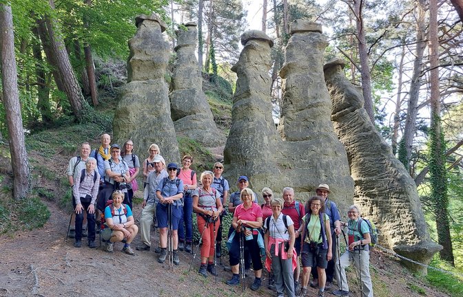 Die Wandergruppe vor den „Sieben Churfirsten“.  <span class='image-autor'>Foto: p</span>