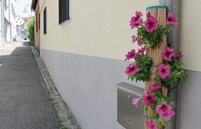 Auch das mausgraue Abflussrohr einer Dachrinne hat einen farbenfrohen Schmuck verdient. Dieser Ansicht war jedenfalls offenbar jemand in der Straße Am Enzweihinger Tor in Vaihingen.  Foto: Banholzer