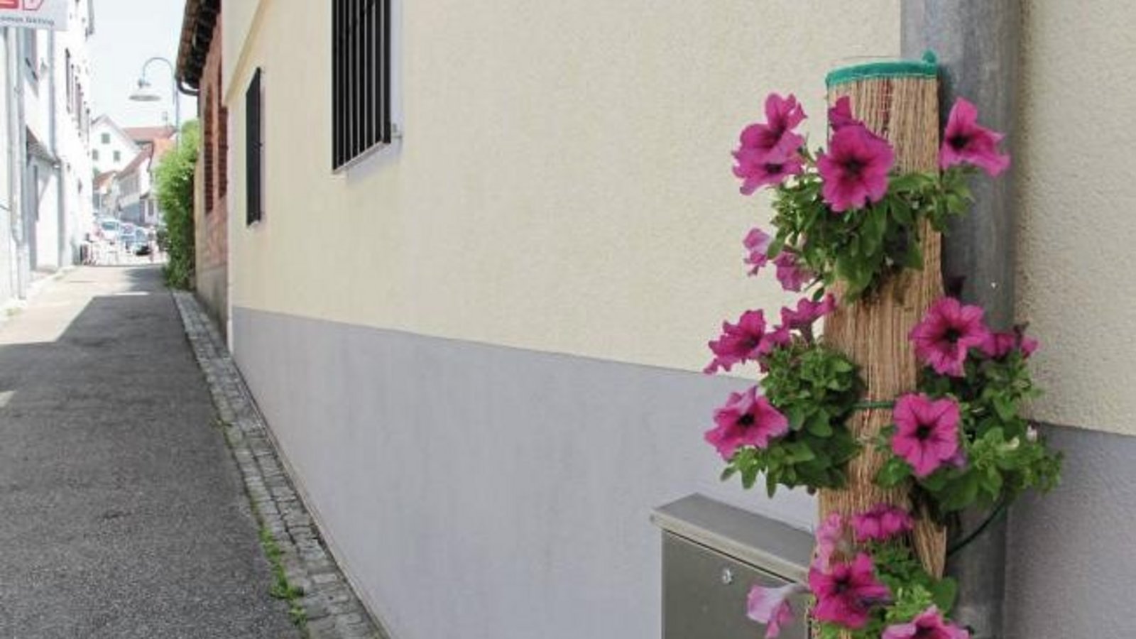 Auch das mausgraue Abflussrohr einer Dachrinne hat einen farbenfrohen Schmuck verdient. Dieser Ansicht war jedenfalls offenbar jemand in der Straße Am Enzweihinger Tor in Vaihingen. Foto: Banholzer Auch das mausgraue Abflussrohr einer Dachrinne hat einen farbenfrohen Schmuck verdient. Dieser Ansicht war jedenfalls offenbar jemand in der Straße Am Enzweihinger Tor in Vaihingen. Foto: Banholzer