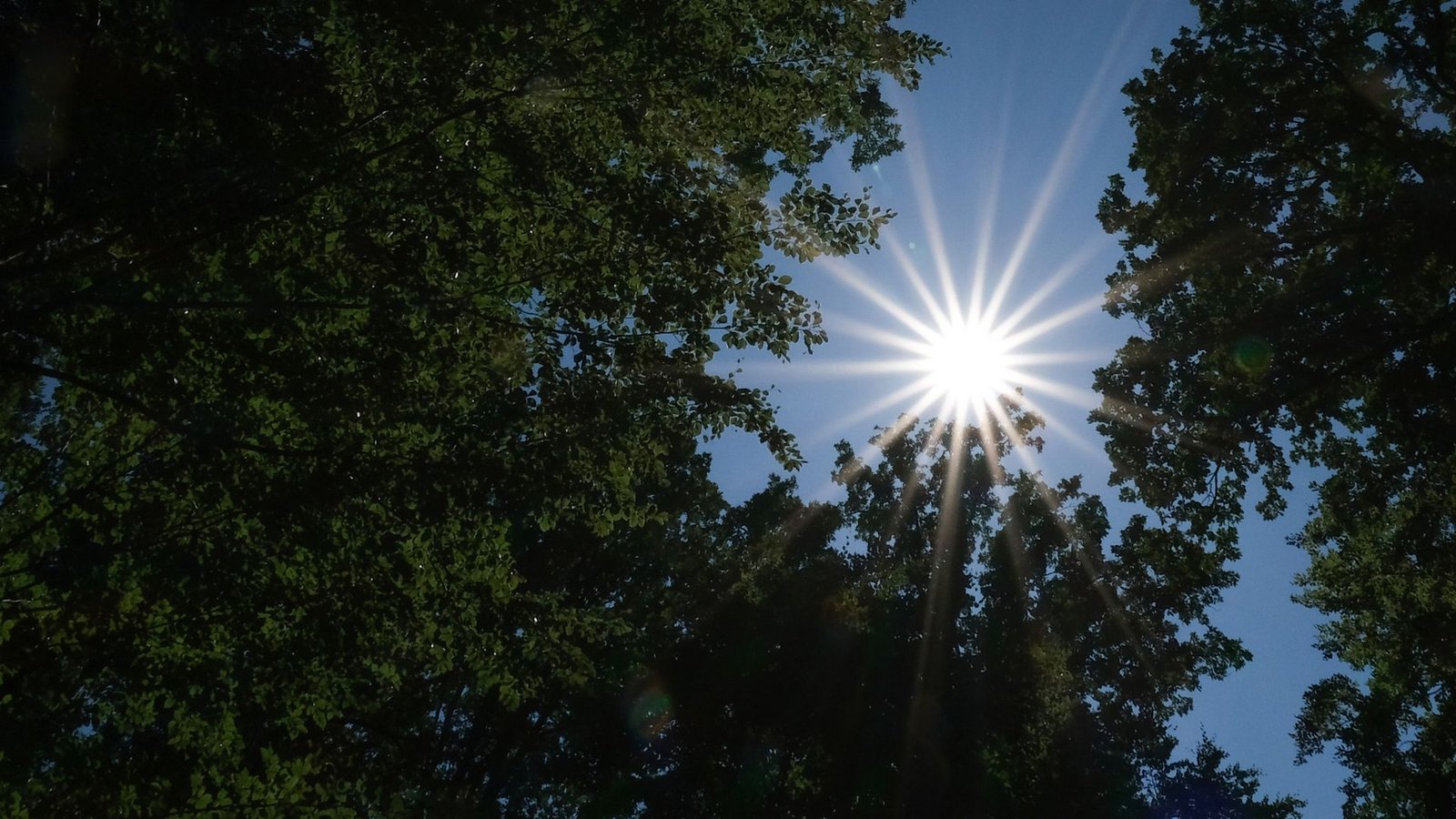 Am Wochenende kommt im Südwesten häufig die Sonne raus.Foto: Bernd Weißbrod/dpa/Bernd Weißbrod Am Wochenende kommt im Südwesten häufig die Sonne raus.Foto: Bernd Weißbrod/dpa/Bernd Weißbrod