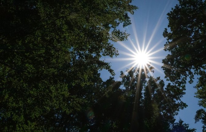 Am Wochenende kommt im Südwesten häufig die Sonne raus.<span class='image-autor'>Foto: Bernd Weißbrod/dpa/Bernd Weißbrod</span>
