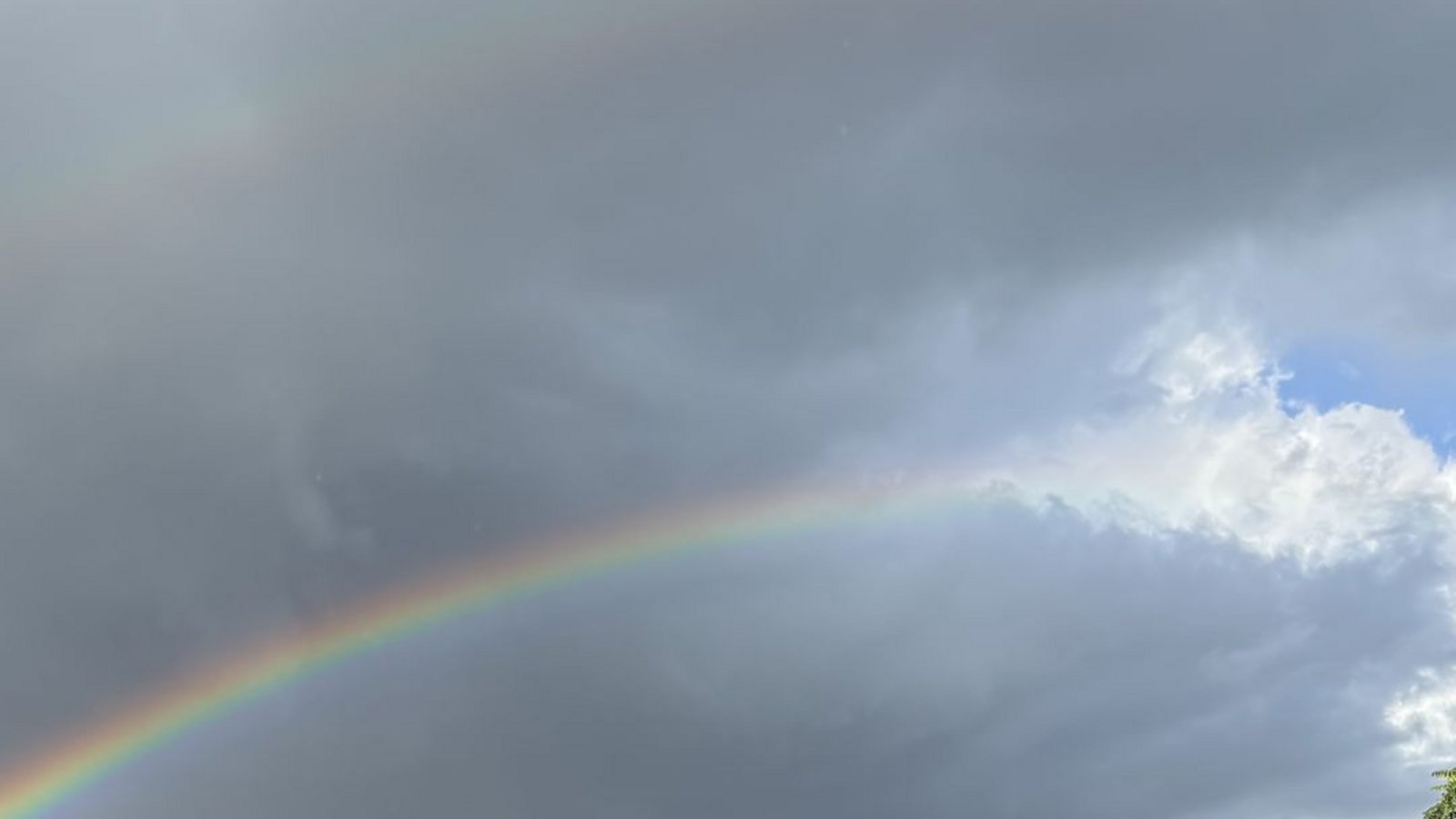 Fridays for Future macht sich bereit für die Fahrraddemo bis zur Halle - begleitet von einem Regenbogen.Foto: StZN/Florian Dürr