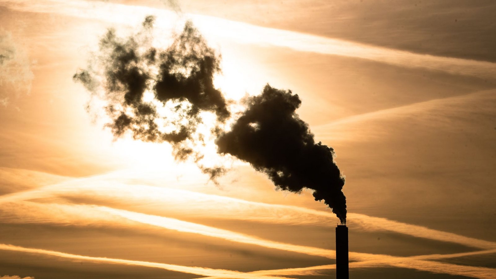 Es gibt Streit um die Frage, welche Industriebereiche CCS nutzen sollten – und welche nicht.Foto: Christoph Schmidt/dpa Es gibt Streit um die Frage, welche Industriebereiche CCS nutzen sollten – und welche nicht.Foto: Christoph Schmidt/dpa