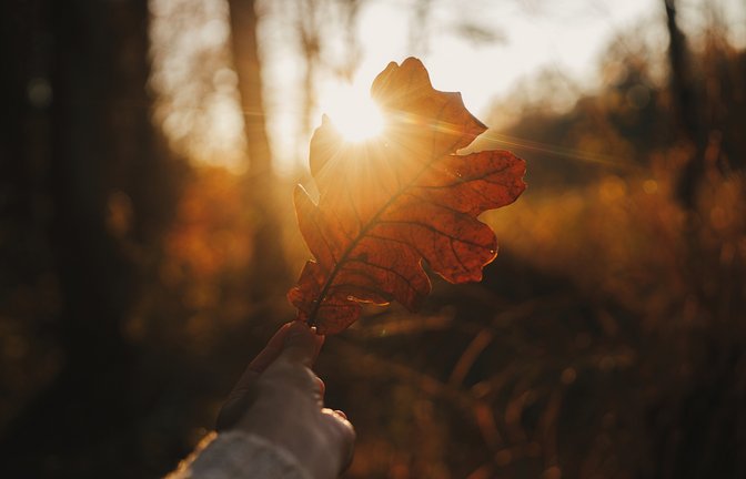 Wann ist der Sommer endlich vorbei?<span class='image-autor'>Foto: Bogdan Sonjachnyj/ Shutterstock</span>