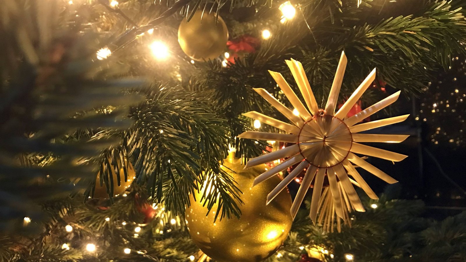 Lichterglanz sorgt für weihnachtliche Stimmung daheim.Foto: IMAGO/Frank Sorge/IMAGO/Foto: Sabine Brose/Sorge