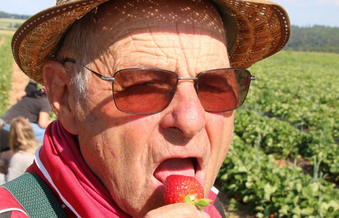 Adolf Beck lässt sich die Erdbeere schmecken.