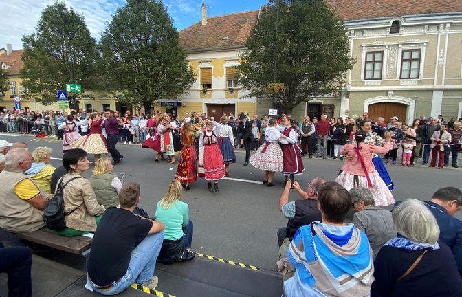 Eine Gruppe aus Vaihingen wird das Weinlesefest in Köszeg besuchen. Der Städtepartnerschaftsverein beklagt allerdings ein sehr verhaltenes Interesse in der Stadt. Archivfoto: p