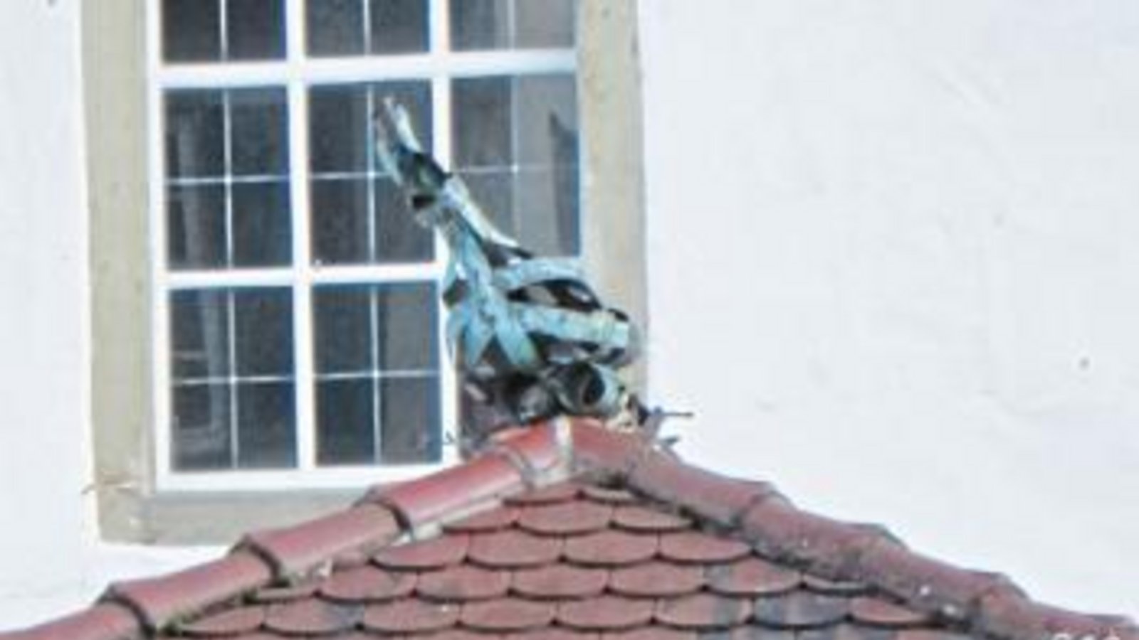 Zärtlichkeiten unterm Mistelzweig. Foto: p Zärtlichkeiten unterm Mistelzweig. Foto: p