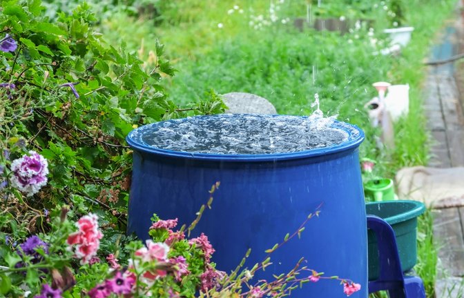 Bleibt es weiter trocken oder ist endlich Regen in Sicht? Hier erfahren Sie, wann es laut Deutschem Wetterdienst wieder regnet – für alle Regionen in Deutschland.<span class='image-autor'>Foto: Olya Detry / Shutterstock.com</span>