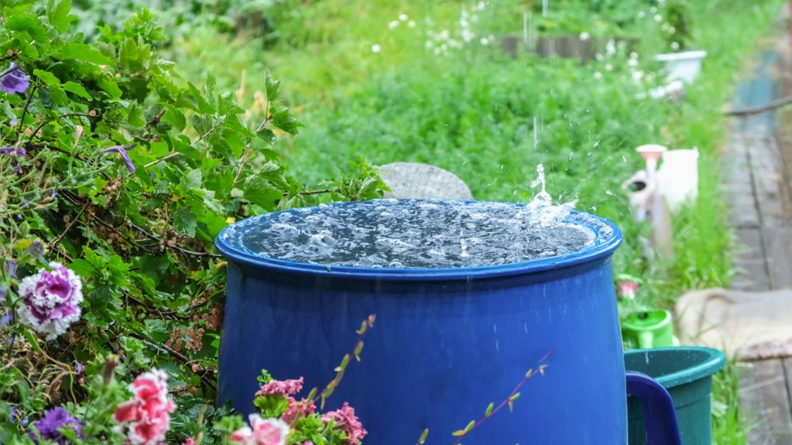 Bleibt es weiter trocken oder ist endlich Regen in Sicht? Hier erfahren Sie, wann es laut Deutschem Wetterdienst wieder regnet – für alle Regionen in Deutschland.Foto: Olya Detry / Shutterstock.com Bleibt es weiter trocken oder ist endlich Regen in Sicht? Hier erfahren Sie, wann es laut Deutschem Wetterdienst wieder regnet – für alle Regionen in Deutschland.Foto: Olya Detry / Shutterstock.com