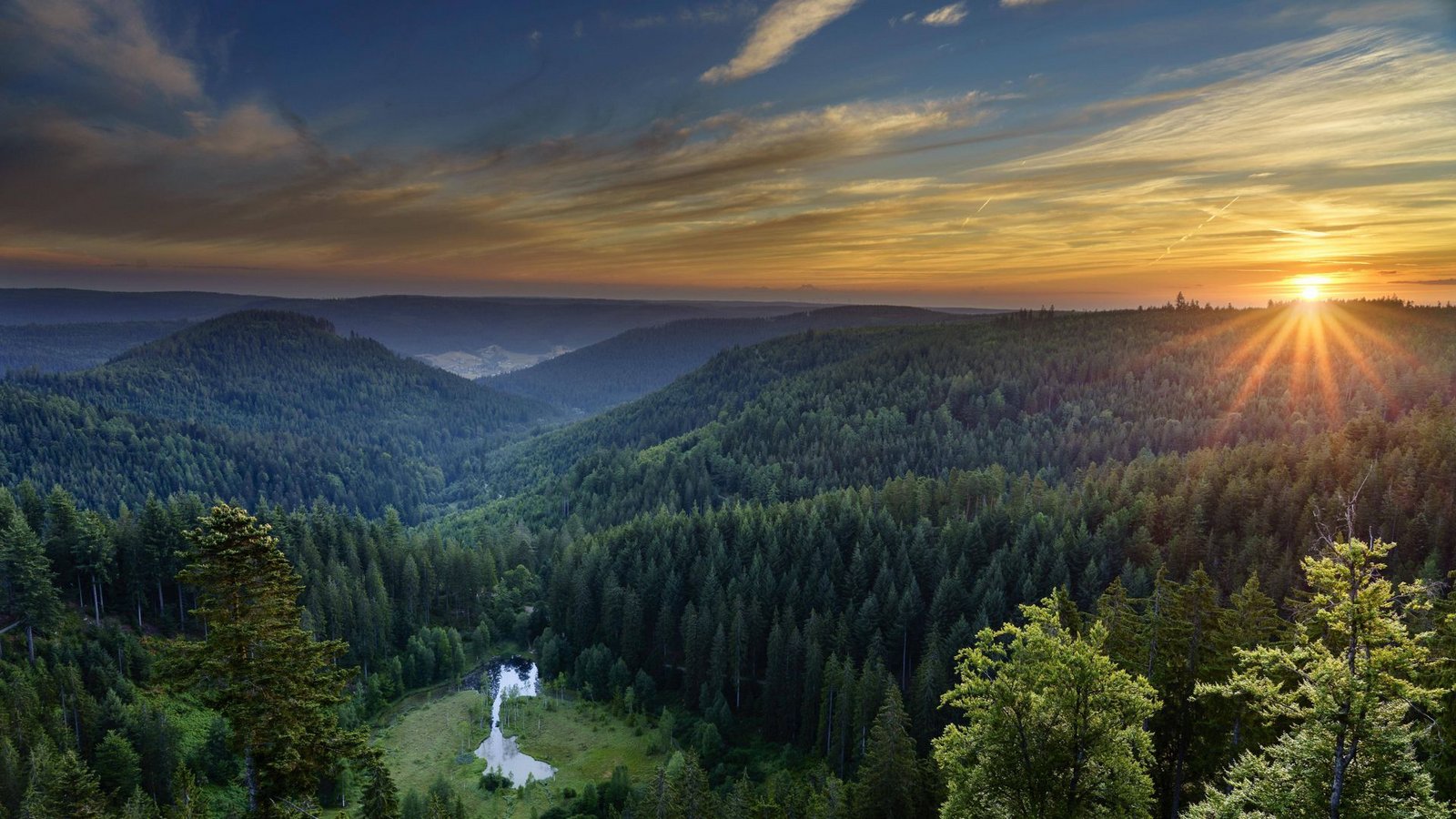 Magisch: Der Blick auf den Ellbachsee von der Aussichtsplattform aus.Foto: IMAGO
