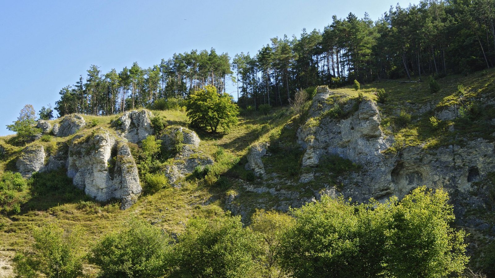 Kalksteinfelden im Dossinger Tal.Foto: imago stock&people/imago stock&people