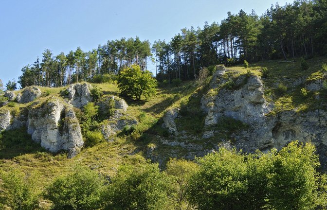 Kalksteinfelden im Dossinger Tal.<span class='image-autor'>Foto: imago stock&people/imago stock&people</span>