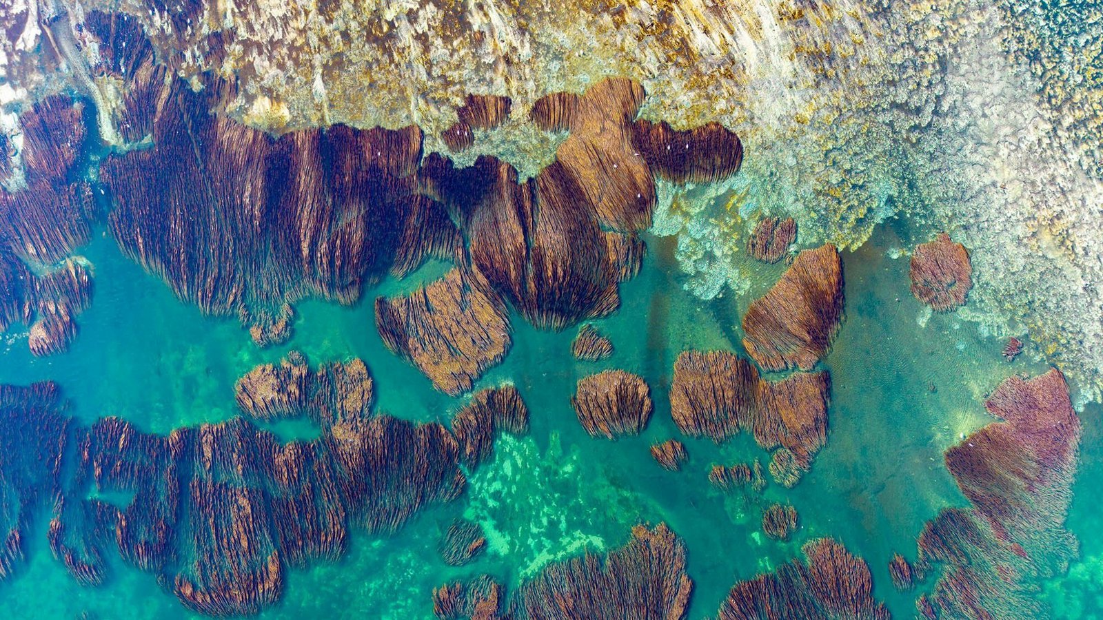 Der Bodensee bietet bei Niedrigwasser völlig neue Perspektiven.Foto: IBT/Achim Mende Der Bodensee bietet bei Niedrigwasser völlig neue Perspektiven.Foto: IBT/Achim Mende