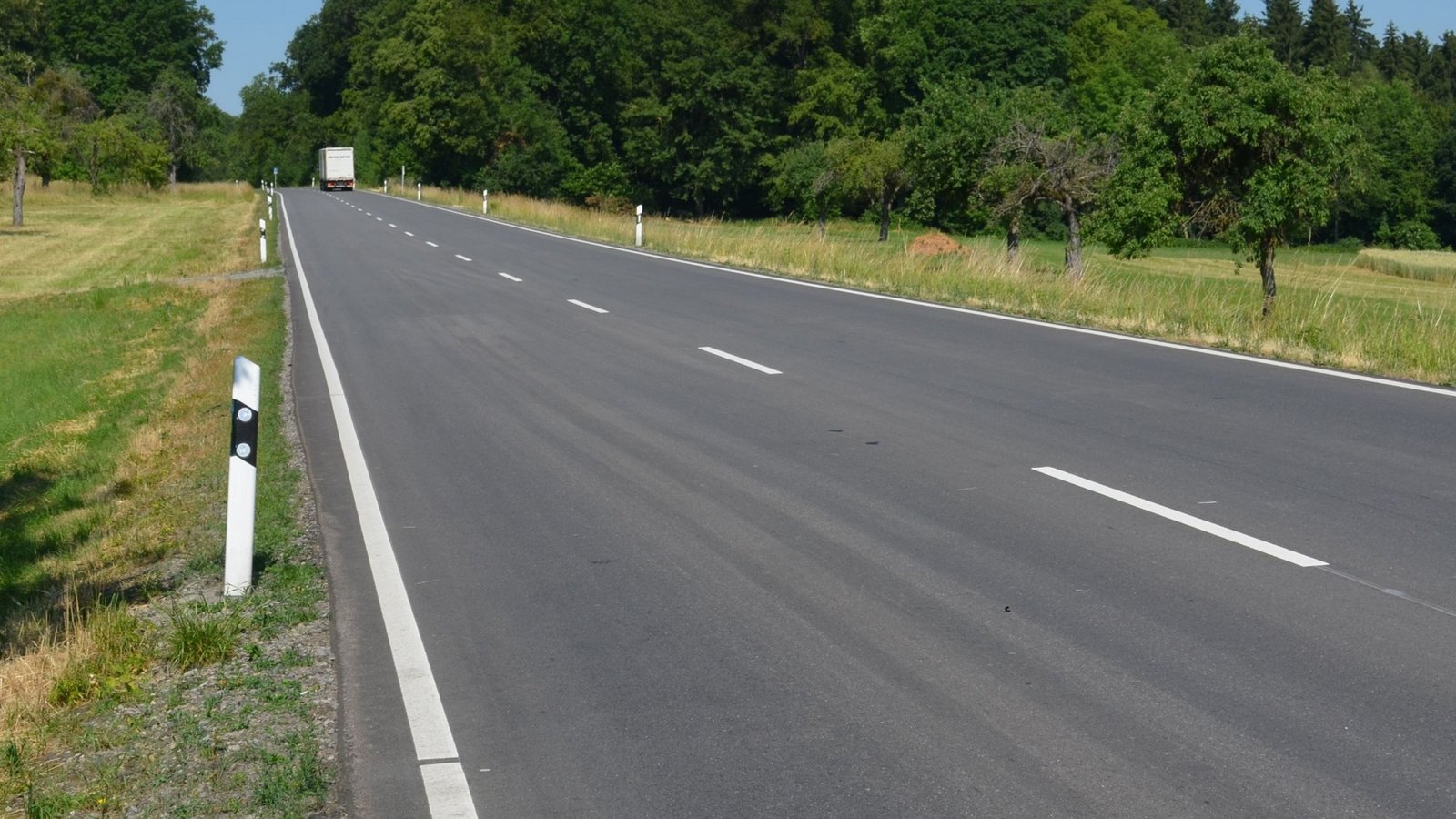 Durch geeignete Maßnahmen soll die Zahl der Wildunfälle auf unfallträchtigen Strecken im Enzkreis – wie hier die B 35 zwischen Lienzingen und Illingen – verringert werden.  Foto: LE