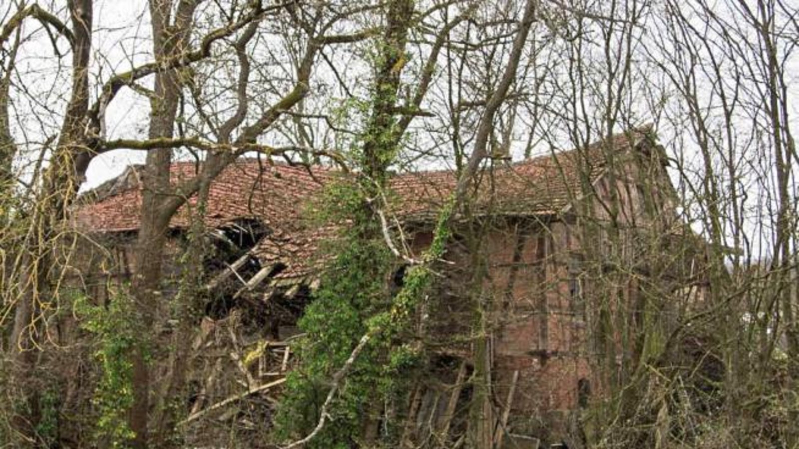 Hans-Joachim Rösner hat festgehalten, wie ein Stück Vaihinger Geschichte in Form der Sägmühle auf der Enzinsel zerfällt. Hans-Joachim Rösner hat festgehalten, wie ein Stück Vaihinger Geschichte in Form der Sägmühle auf der Enzinsel zerfällt.