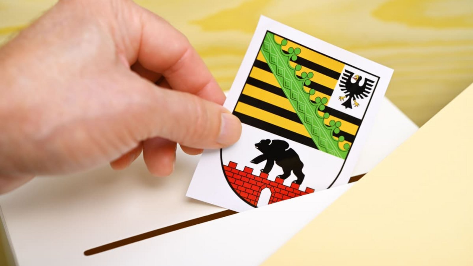 Landtagswahl am 6. September in Sachsen-Anhalt.Ohde, Christian/actionpress Landtagswahl am 6. September in Sachsen-Anhalt.Ohde, Christian/actionpress