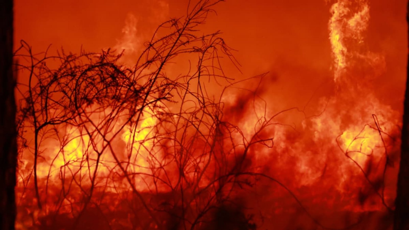 Bei Lege-Cap-Ferret im Südwesten Frankreichs breiten sich Flammen während einer kontrollierten Brandrodung im Waldgebiet Grand Crohot aus. Die Maßnahme diente am 29. Juli 2026 der Waldbrandvorsorge nach den jüngsten Bränden in der Region.IMAGO/Mohamad Salaheldin Abdelghani Alsayed Bei Lege-Cap-Ferret im Südwesten Frankreichs breiten sich Flammen während einer kontrollierten Brandrodung im Waldgebiet Grand Crohot aus. Die Maßnahme diente am 29. Juli 2026 der Waldbrandvorsorge nach den jüngsten Bränden in der Region.IMAGO/Mohamad Salaheldin Abdelghani Alsayed