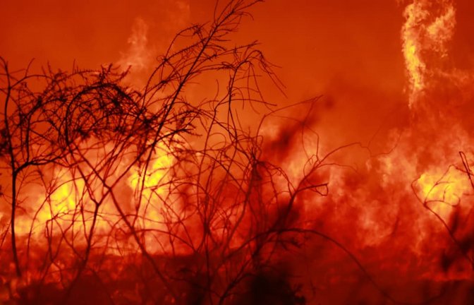 Bei Lege-Cap-Ferret im Südwesten Frankreichs breiten sich Flammen während einer kontrollierten Brandrodung im Waldgebiet Grand Crohot aus. Die Maßnahme diente am 29. Juli 2026 der Waldbrandvorsorge nach den jüngsten Bränden in der Region.<span class='image-autor'>IMAGO/Mohamad Salaheldin Abdelghani Alsayed</span>