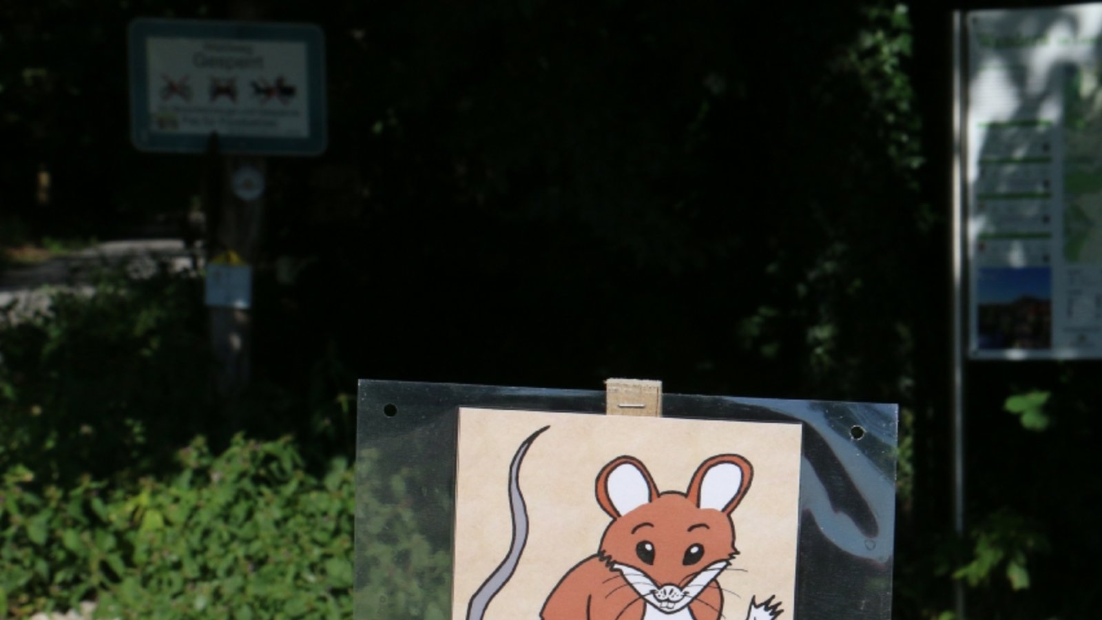 Wusel kommt wieder. Archivfoto: VKZ/Rücker