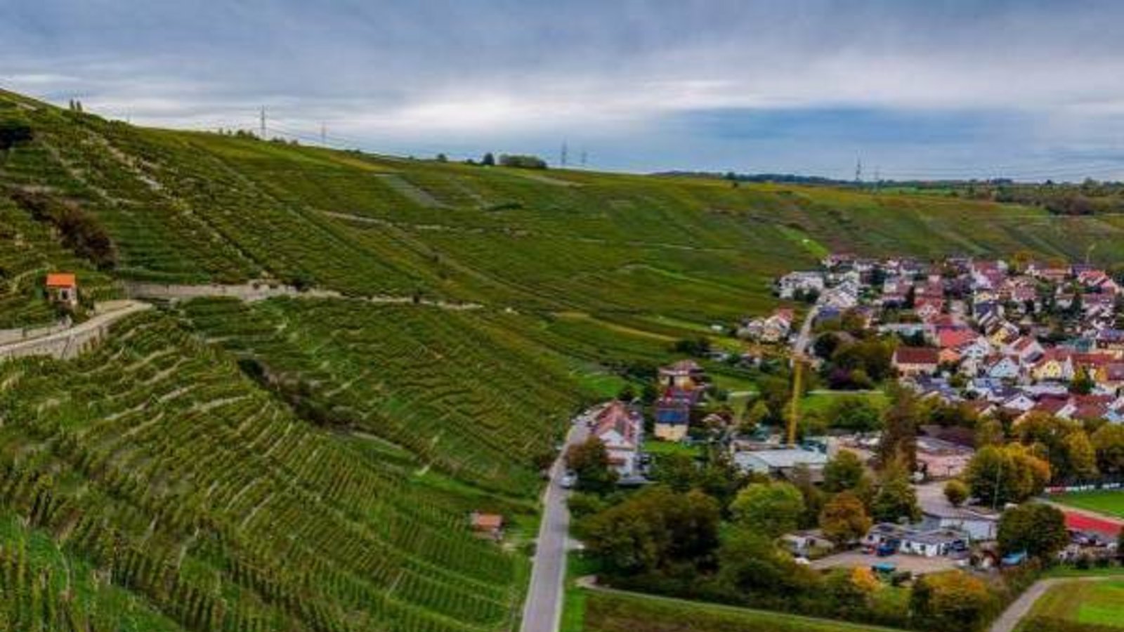 Die Hänge am Mundelsheimer Käsberg werden von der Gemeinde bewirtschaftet. Foto: Kalb
