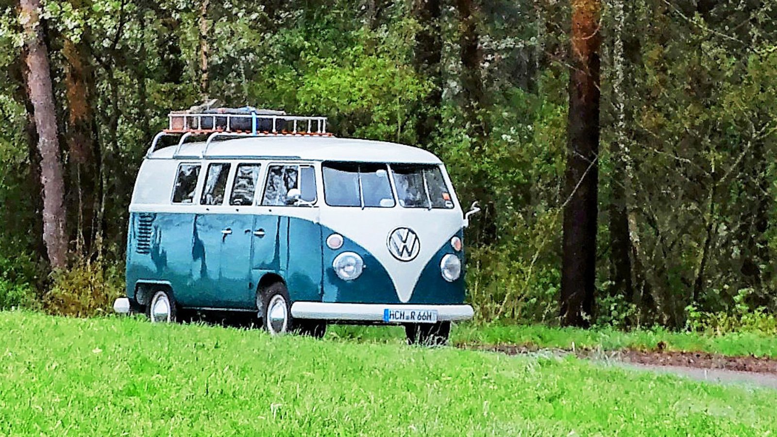 Exot auf der StraßeFoto: Martin Tschepe