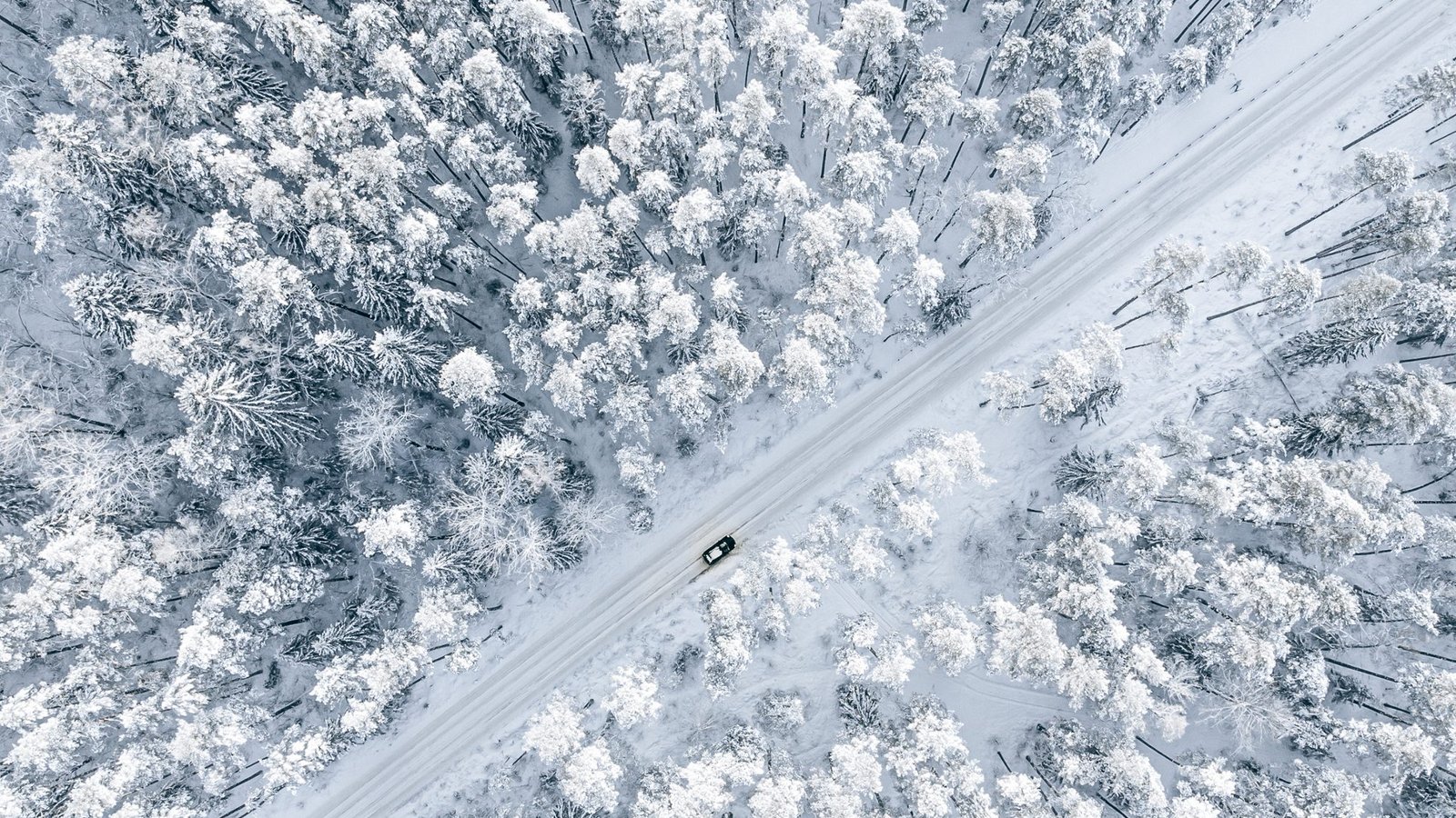 Müssen wir uns auf einen Jahrhundertwinter mit viel Schnee und eisiger Kälte einstellen? Was die Wettermodelle sagen und welche Prognosen die KI macht.Foto: OlegRi / Shutterstock.com Müssen wir uns auf einen Jahrhundertwinter mit viel Schnee und eisiger Kälte einstellen? Was die Wettermodelle sagen und welche Prognosen die KI macht.Foto: OlegRi / Shutterstock.com