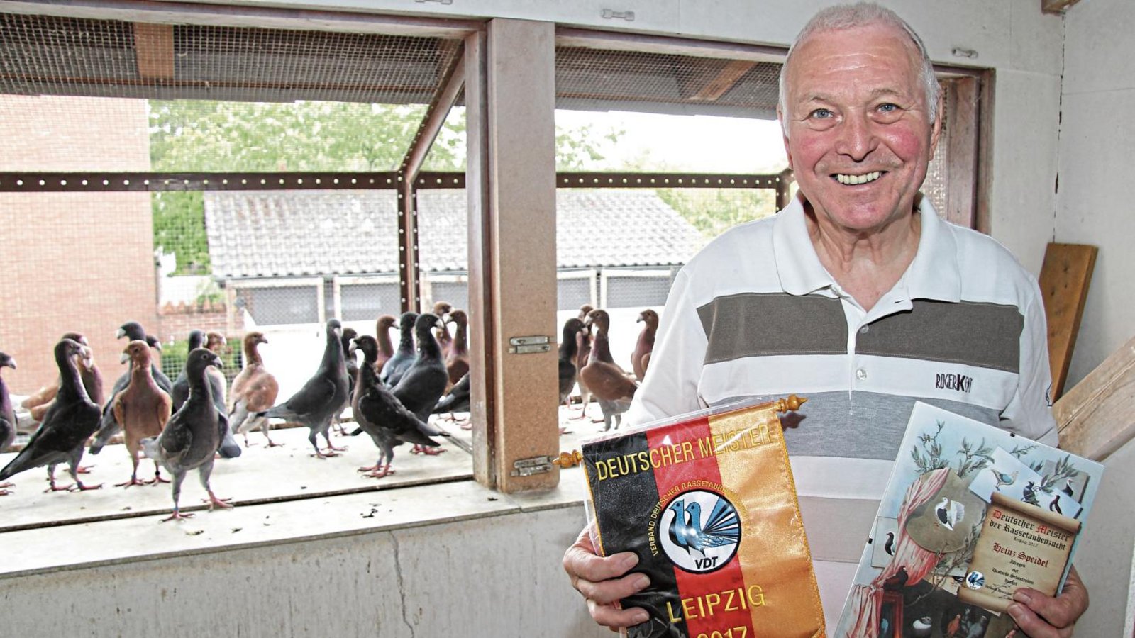 Seit rund 70 Jahren züchtet Heinz Speidel Schautauben. Der Deutsche Meistertitel krönt nun seine Züchtungsbemühungen. Fotos: Banholzer Seit rund 70 Jahren züchtet Heinz Speidel Schautauben. Der Deutsche Meistertitel krönt nun seine Züchtungsbemühungen. Fotos: Banholzer