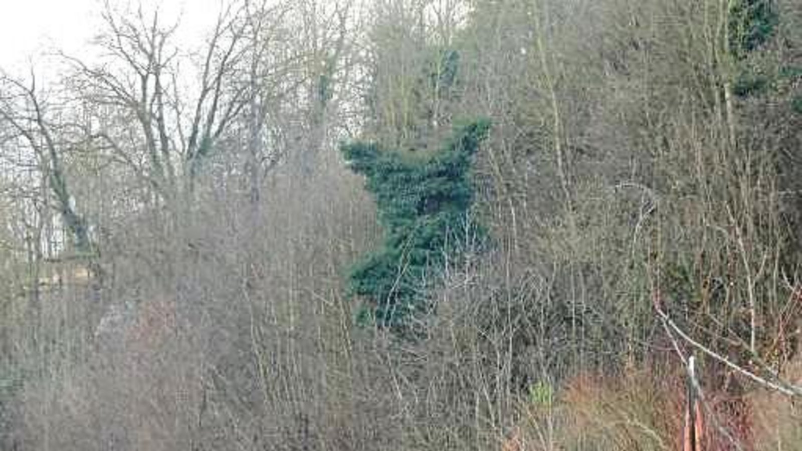 „Ich dachte, die Auricher müssten gewarnt werden, da Waldbären am Ortsrand von Aurich gesichtet wurden“, schreibt unsere Leserin Petra Blankenhorn und schickt dieses Beweisfoto. „Ich dachte, die Auricher müssten gewarnt werden, da Waldbären am Ortsrand von Aurich gesichtet wurden“, schreibt unsere Leserin Petra Blankenhorn und schickt dieses Beweisfoto.
