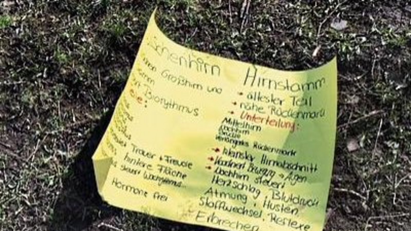 „Herr wirf Hirn ’ra!“, schreibt unsere Leserin Christel Henkelmann aus Kleinglattbach zu ihrem Foto, das bei einer Bushaltestelle nahe einer Schule entstanden ist. „Heute war wohl das Thema ,Hirn’ im Unterricht dran. Leider hat es mit der Transferleistung „Herr wirf Hirn ’ra!“, schreibt unsere Leserin Christel Henkelmann aus Kleinglattbach zu ihrem Foto, das bei einer Bushaltestelle nahe einer Schule entstanden ist. „Heute war wohl das Thema ,Hirn’ im Unterricht dran. Leider hat es mit der Transferleistung